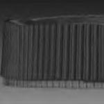 TP-2014-Spring Reese Bochum 0414_Reese_Fig25