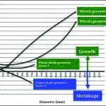 TP-2014-Spring Reese Bochum 0414_Reese_Fig30