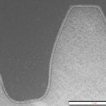 TP-2015-Fall Feat 1 Fig 3 a_1