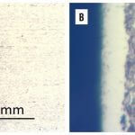 TP-2015-Fall Feat 1 Fig 6 a-b