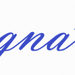 Signature Vacuum logo