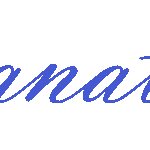 Signature Vacuum – Logo