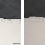 TP-2018-0708 Feat 2 Fig 5 Conventional-Heavy Carbon Gear B IGO