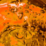 TP-2025-07 Feat 2 shutterstock_1536479420 v2